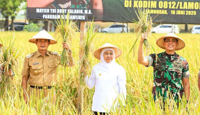 Apresiasi Kampung Pangan Terpadu di Lamongan, Gubernur Khofifah Siap Replikasi Integrated Farming Apresiasi Kampung Pangan Terpadu di Lamongan, Gubernur Khofifah Siap Replikasi Integrated Farming