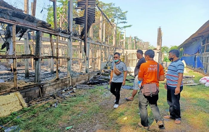 ​Kandang Anakan Ayam Petelur di Blitar Ludes Terbakar, Pemilik Rugi Ratusan Juta Rupiah