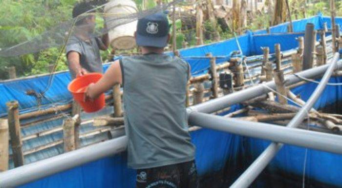 JOB P-PEJ Bojonegoro Kembangkan Masyarakat Ekonomi Produktif Melalui Budidaya Ikan Lele