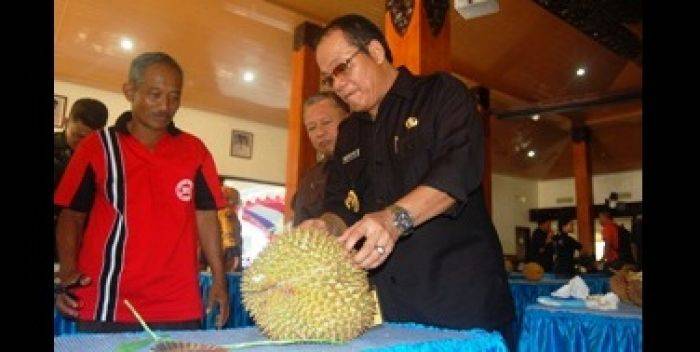 Pemkab Trenggalek Gelar Kontes Buah Durian