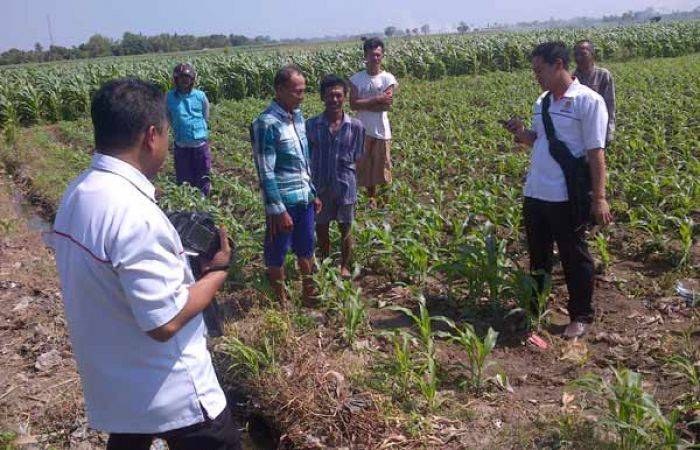 Penemuan Granat Nanas Hebohkan Warga Talkandang Situbondo