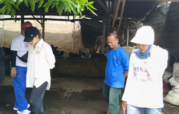 Paslon Fren Lanjutkan Blusukan ke Sentra Ikan Cupang Kelurahan Ketami