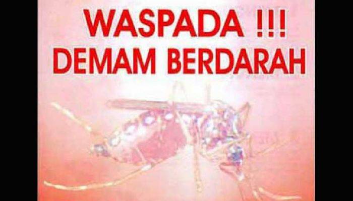 Tahun 2016, DBD di Jombang Meningkat Tajam, sudah 700 Kasus dalam 9 Bulan