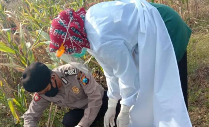 Pamit Cari Rumput dan Tak Pulang-pulang, Kakek di Tuban Ditemukan Meninggal