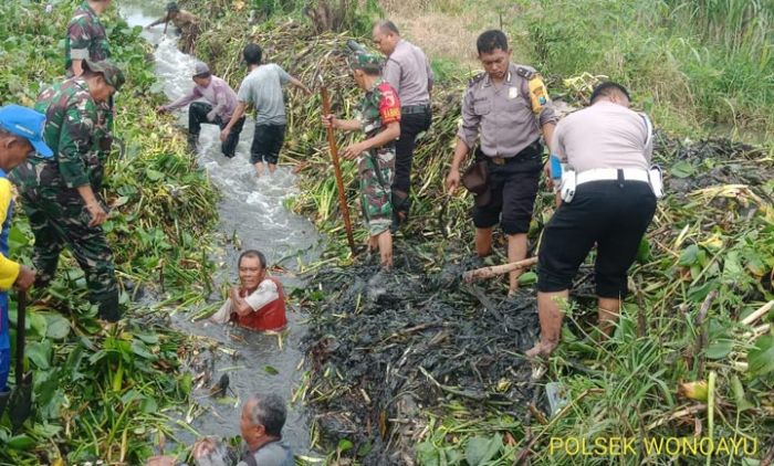 Antisipasi Banjir, Forkopimka Wonoayu Kerja Bakti Bersih Sungai