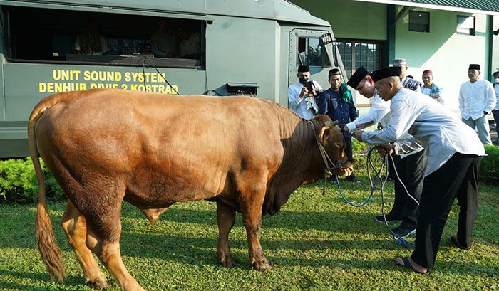 Idul Adha 1443 H, Divif 2 Kostrad Kurban 5 Sapi dan 16 Ekor Kambing