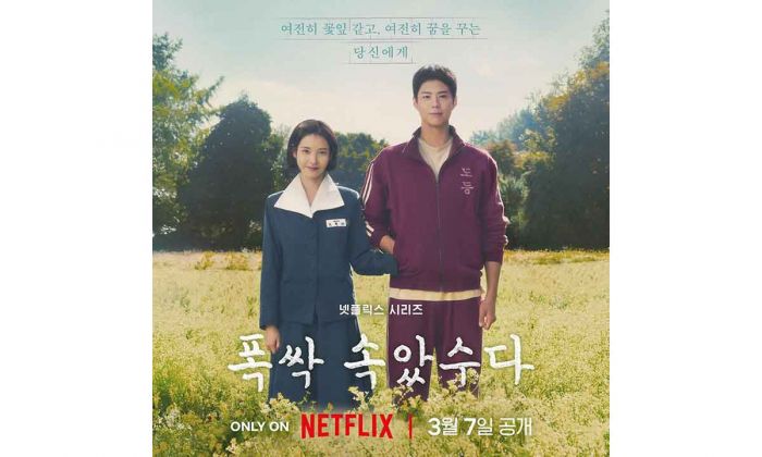 IU Bertemu Park Bogum di When Life Gives You Tangerines