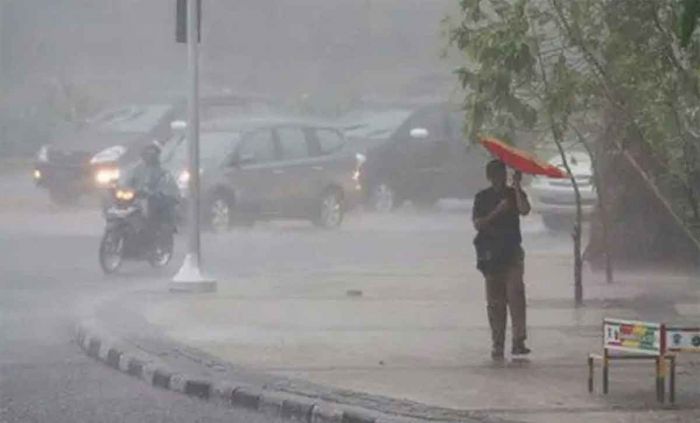 Topan Kalmaegi Terjang Vietnam, Tewaskan Ratusan Warga dan Sebabkan Kerusakan Masif