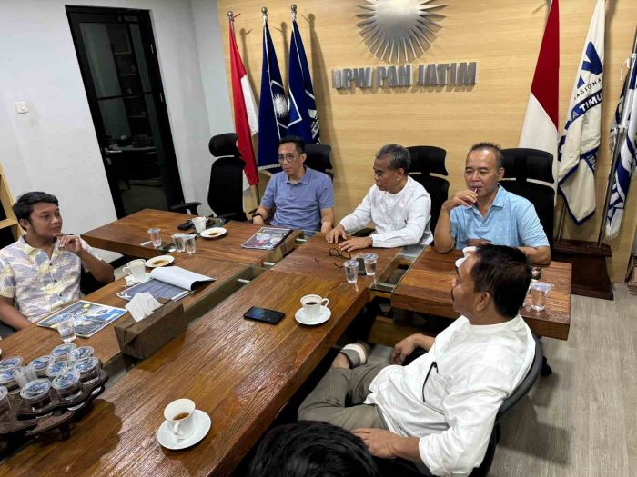 PAN Disebut Partai Meritokrasi, Berpeluang Besar Jaring Milenial dan Gen Z PAN Disebut Partai Meritokrasi, Berpeluang Besar Jaring Milenial dan Gen Z