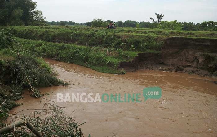 Tanggul Sungai di Bandar Kedungmulyo Makin Tergerus, Dua Dusun Terancam, BPBD Siap-siap