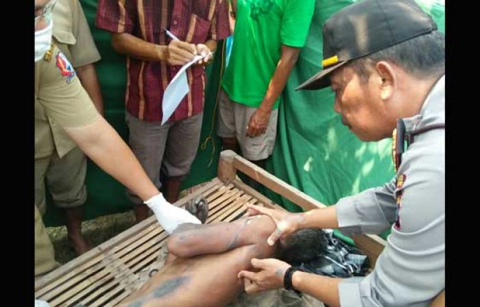 Warga Kanor Bojonegoro Tewas Tersengat Listrik Jebakan Tikus di Sawahnya Sendiri