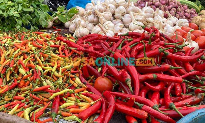 Perubahan Harga Pangan Bali Hari Ini: Cabai Merah Besar Naik, Rawit Merosot hingga Rp8 Ribu Perubahan Harga Pangan Bali Hari Ini: Cabai Merah Besar Naik, Rawit Merosot hingga Rp8 Ribu