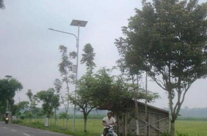 Puluhan Lampu PJU di Jalur Pacitan-Ponorogo Mati Tak Bisa Berfungsi