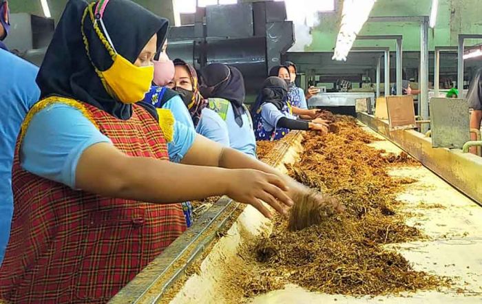 Dianggarkan Rp34,1 Miliar, Bansos Cukai Tembakau di Bojonegoro Disalurkan Oktober Mendatang Dianggarkan Rp34,1 Miliar, Bansos Cukai Tembakau di Bojonegoro Disalurkan Oktober Mendatang