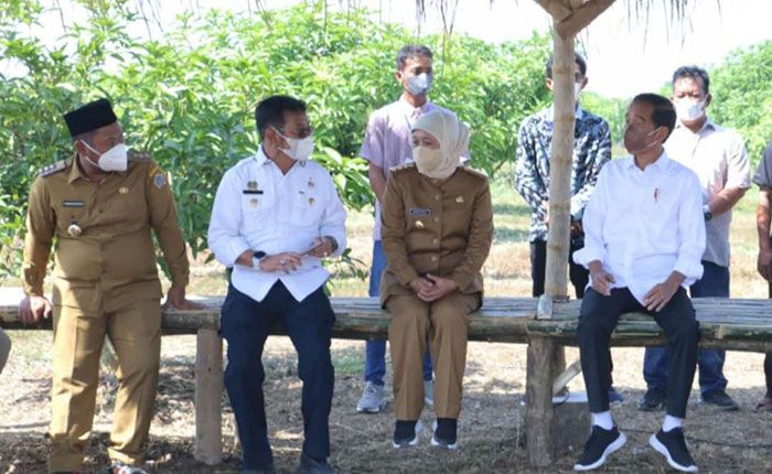 Kunker di Gresik, Presiden Jokowi Luncurkan Food Estate di Desa Sukodono