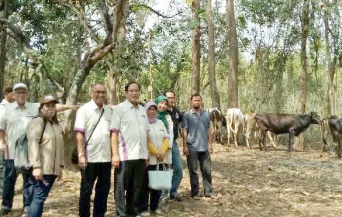 Kunjungan ke Grati, Unair Beri Pelayanan Keswan ke Masyarakat secara Gratis