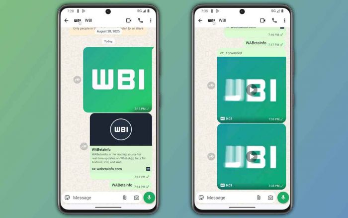 WhatsApp Akan Rilis Paket Premium, Bisa Pin 20 Chat dan Ganti Icon