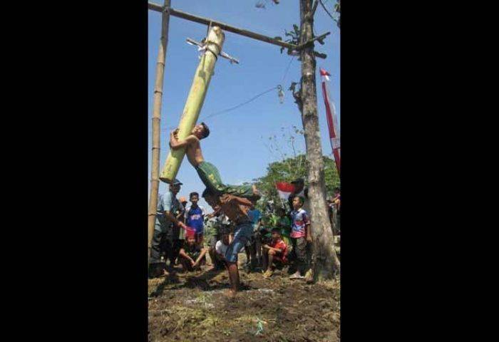 Peringati HUT RI Ke-70, Warga Desa Ringin Putih Ponorogo Gelar Lomba Panjat Pohon Pisang