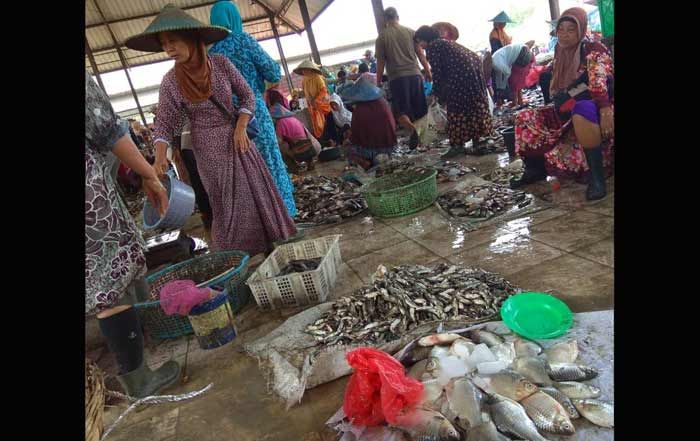 Produksi Turun, Harga Ikan Tawar Melambung