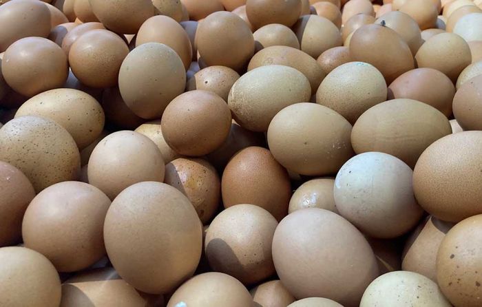 Update Harga Sembako Jatim Hari ini 15 Januari 2025, Telur Ayam Kampung Turun Rp5 Ribu per Kg