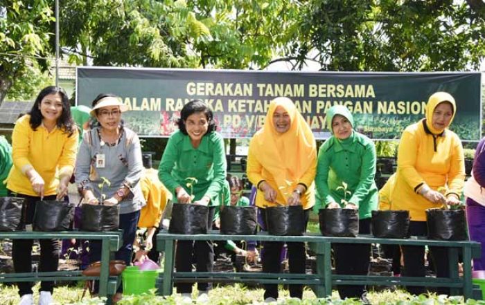 KDJAT Hadiri Gerakan Tanam Cabai 5000 Polybag untuk Kemandirian Pangan