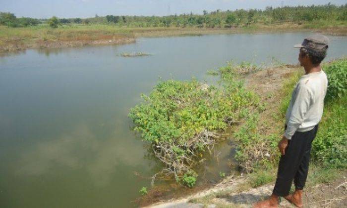 Waduk di Bojonegoro tak Maksimal Tampung Air Hujan, Petani Bimbang