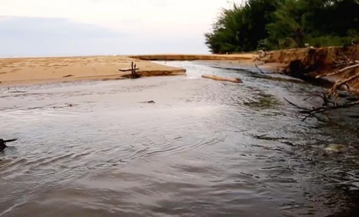 Dugaan Pencemaran Pantai Lombang Akibat Limbah Tambak Udang, Disparbudpora Tunggu Kajian DLH