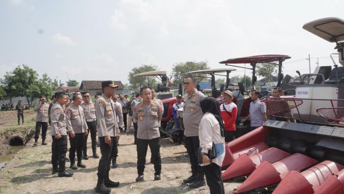 Tim Verifikasi Lomba Ketahanan Pangan Mabes Polri Tinjau Lahan Jagung di Prambon Sidoarjo Tim Verifikasi Lomba Ketahanan Pangan Mabes Polri Tinjau Lahan Jagung di Prambon Sidoarjo