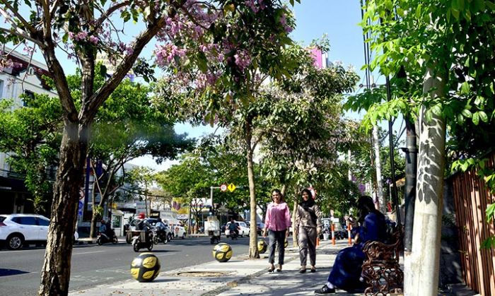 Surabaya Makin Cantik, Ribuan Pohon Tabebuya Bermekaran di Sepanjang Jalan Protokol