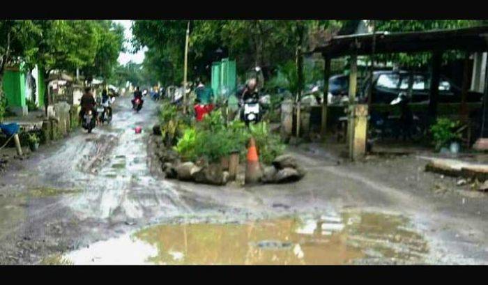 Tanam Pohon di Jalan Rusak sudah Mainstream, Warga Desa Tawangsari Mojokerto Bikin Taman