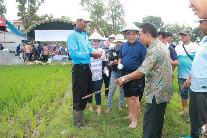 Sayembara Basmi Tikus di Lamongan, Dapat 10 Ekor Bisa Ditukar 1 Kg Beras