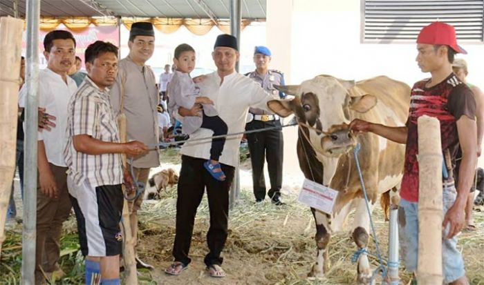 Polresta Sidoarjo Salurkan Kurban 17 Ekor Sapi dan 68 Ekor Kambing Untuk Masyarakat