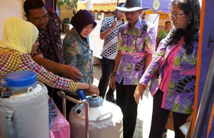 Pemkot Probolinggo Gelar Kontes Ternak dan Pameran Agribisnis Pertanian 