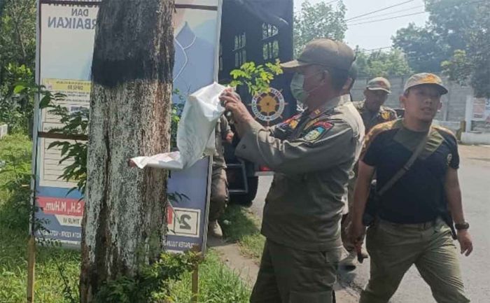 Bawaslu Kabupaten Kediri Tertibkan APK Caleg yang Dipaku di Pohon