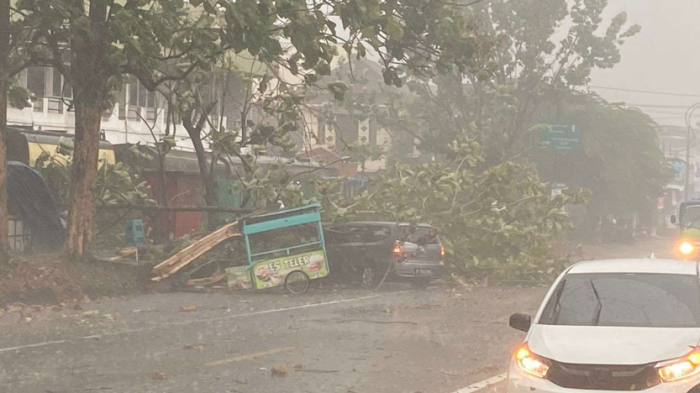 Hujat Lebat Siang Hari ini, Sejumlah Pohon di Pakisaji Malang Tumbang