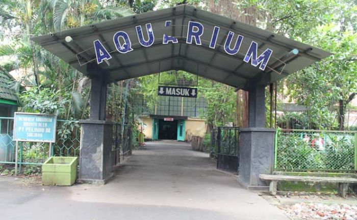 Aquarium Tutup, Renovasi Belum Rampung, Pengunjung KBS Kecewa 