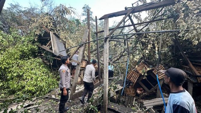 Satu Orang Tewas Tertimpa Pohon Tumbang Akibat Hujan dan Angin Kencang di Blitar