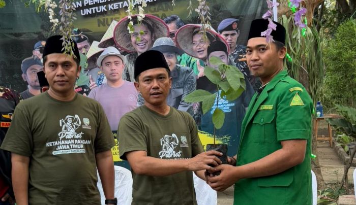 Dukung Program Ketahanan Pangan, Ansor Jatim Distribusikan 50 Ribu Bibit Buah Dukung Program Ketahanan Pangan, Ansor Jatim Distribusikan 50 Ribu Bibit Buah