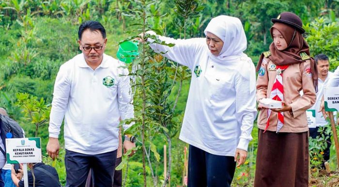 Tertinggi Nasional, Jawa Timur Catat NTE KTH Rp367,95 Miliar