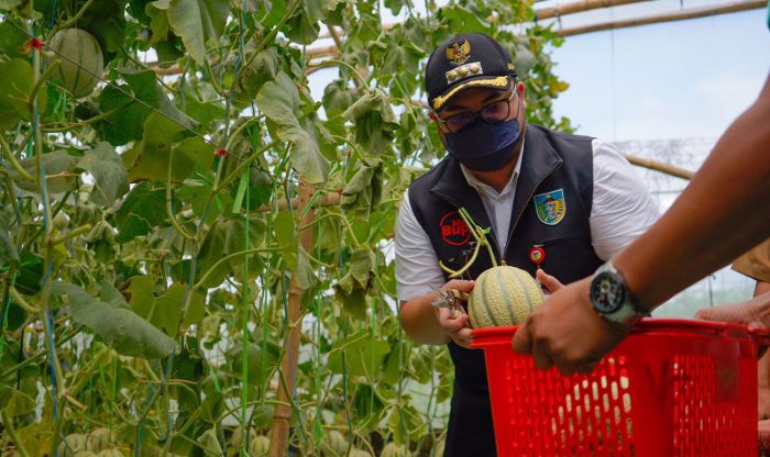 Targetkan Ekspor Hasil Pertanian, Bupati Kediri Dorong Milenial Terapkan Smart Farming