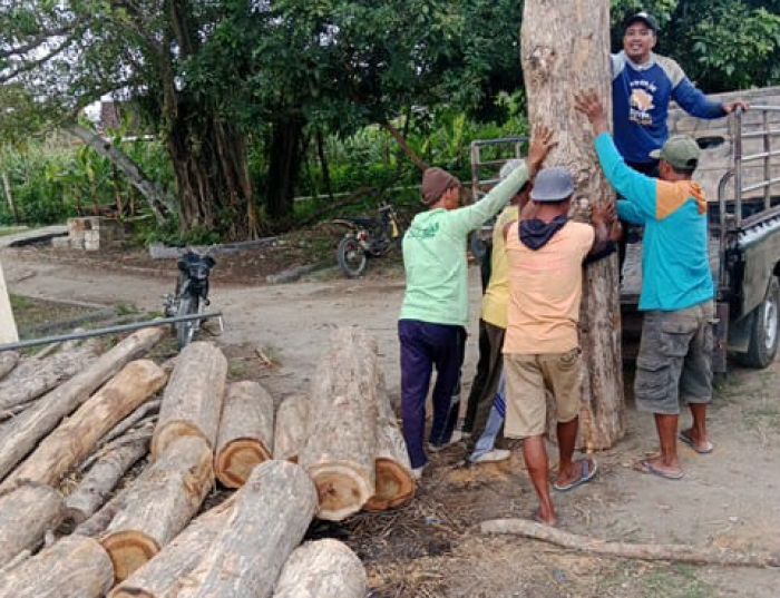 Petugas Gabungan Perhutani Jatirogo Tuban Gagalkan Pencurian Belasan Batang Kayu Jati