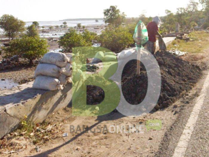 Abrasi Ancam Pantai Camplong, karena Penambangan Liar