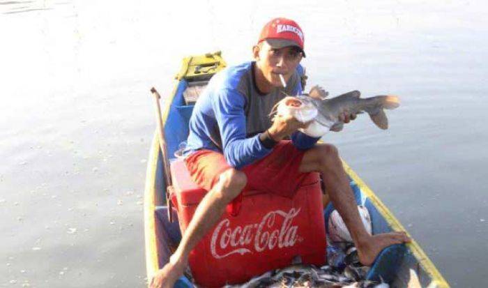 Ikan di Kali Porong Mabuk, Warga Ramai-ramai Berburu