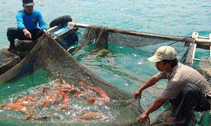 Produksi Ikan di Lamongan Capai Rp 2 Triliun