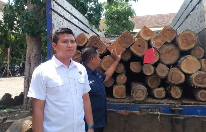 Perangkat Desa di Jombang Ditangkap Usai Terlibat Illegal Logging 