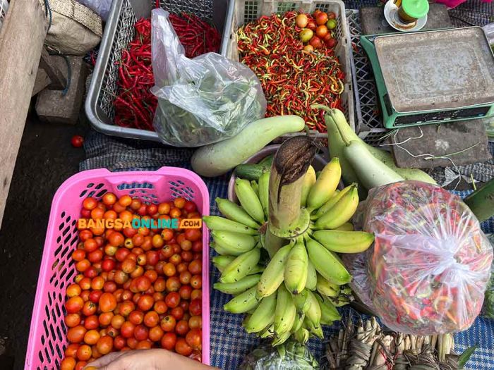Harga Sembako Jatim 4 September 2025, Cabai Merah Keriting Naik Harga Sembako Jatim 4 September 2025, Cabai Merah Keriting Naik