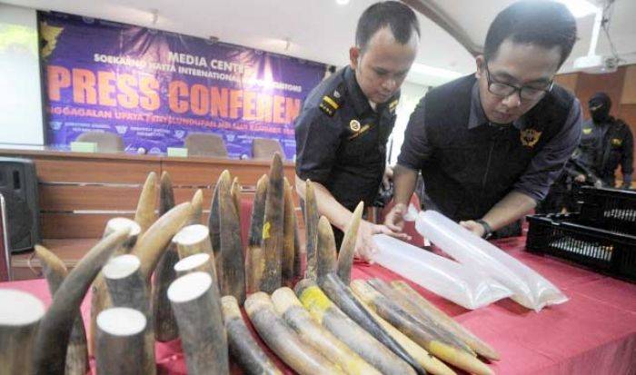 Selama Dua Bulan, Bea Cukai Soekarno-Hatta Gagalkan Penyelundupan Satwa Senilai Rp 21 M Selama Dua Bulan, Bea Cukai Soekarno-Hatta Gagalkan Penyelundupan Satwa Senilai Rp 21 M