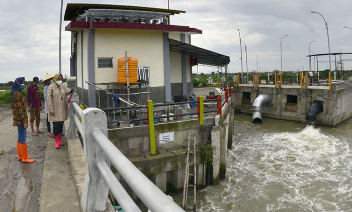 ​Pastikan Kuat Menampung Aliran Air, Wali Kota Risma Tinjau Tanggul Kali Lamong