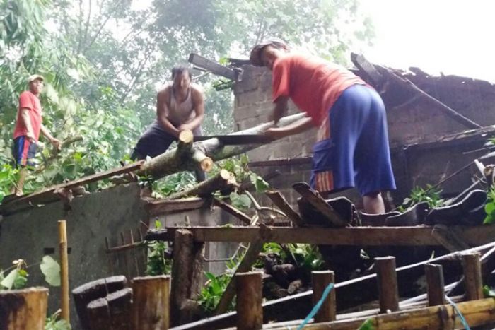 Diamuk Puting Beliung, Pohon Besar di Nglegok Blitar Timpa Rumah Warga