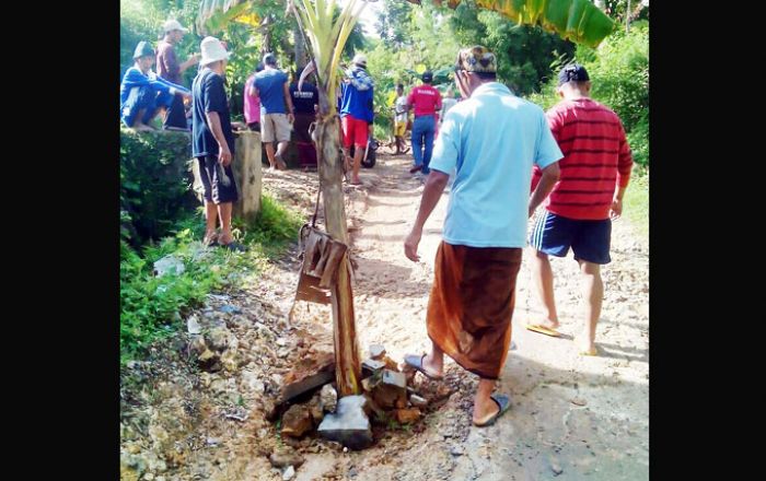 Kesal Tak Kunjung Diperbaiki Pemkab, Warga Kadur Tanami Jalan Desa dengan Pohon Pisang